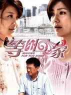 我在等你回家海報