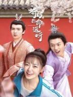 奇妙的命運呀劇情介紹(1-16全集)