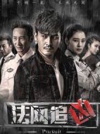 法網追兇第一季劇情介紹(1-12全集)