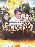 虎膽神鷹劇情介紹（1-40全集）大結局