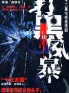 打黑風暴劇情介紹(1-22全集)