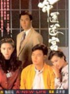 命運迷宮劇情介紹(1-15全集)