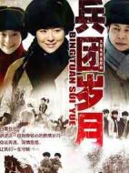 兵團歲月劇情介紹(1-38全集)