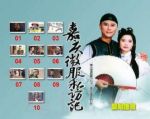 嘉慶微服私訪記劇情介紹(1-41全集)