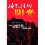 掩不住的陽光劇情介紹(1-38全集)