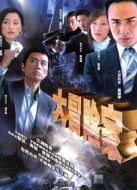 大冒險家（DVD版）劇情介紹(1-30全集)