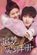 追夢實習手冊劇情介紹(1-12全集)